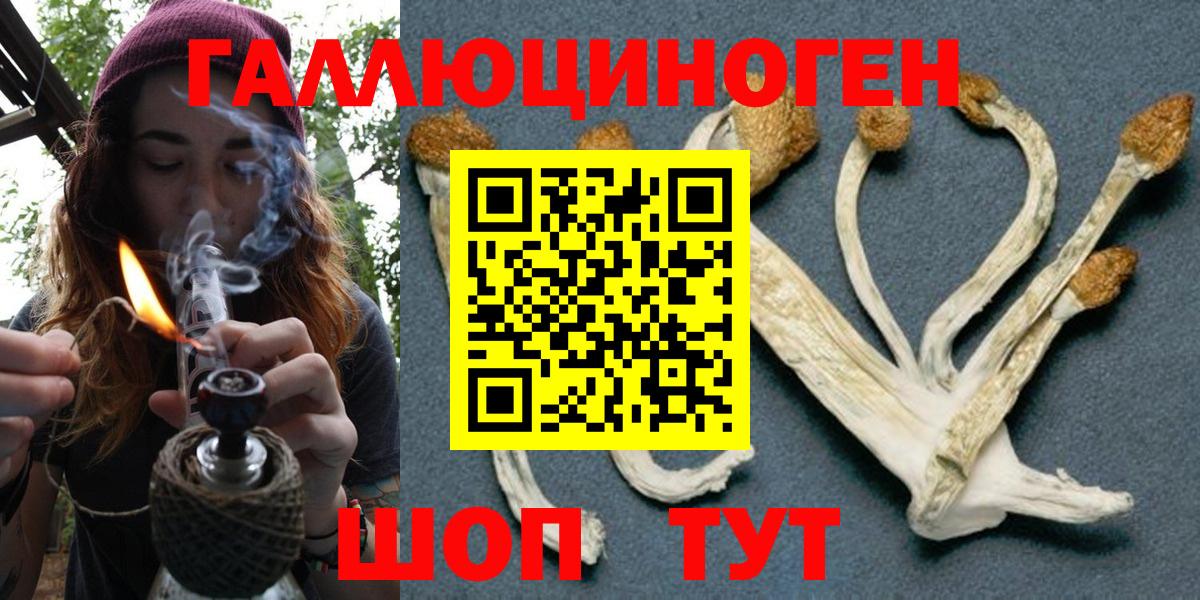 Галлюциногенные грибы прущие грибы Луга