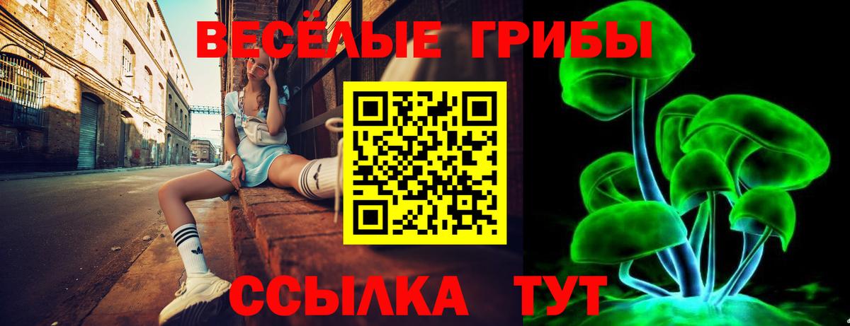 Псилоцибиновые грибы мухоморы  Вход с VPN  Луга 